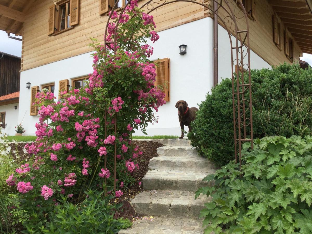 Ferienwohnung Am Dreiseithof Hauzenberg Dış mekan fotoğraf